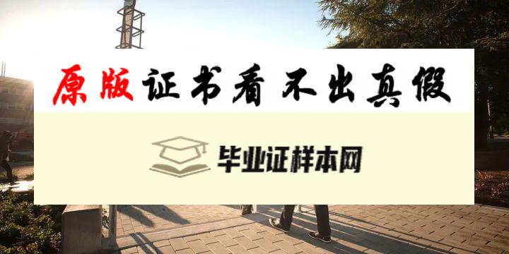 加拿大不列颠哥伦比亚理工大学毕业证书模板