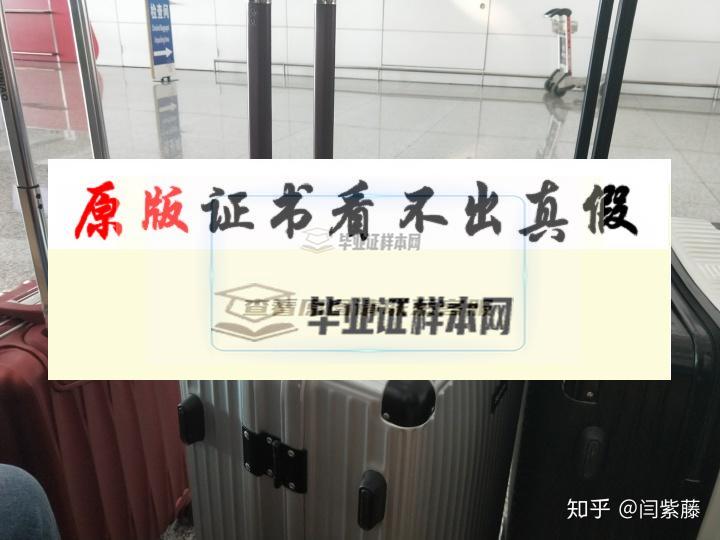 臺灣中原大學成績單模板