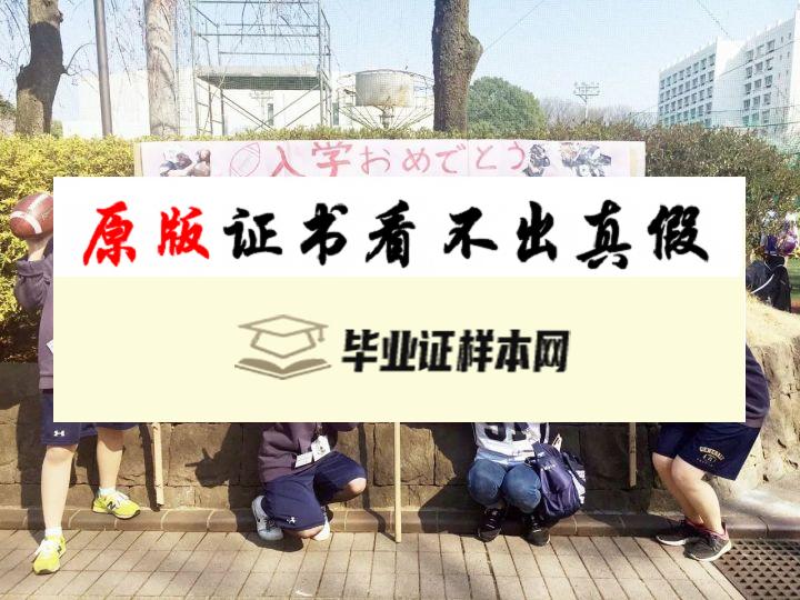 日本学习院大学毕业证书模板