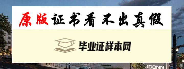 美国​康涅狄格大学毕业证书模板