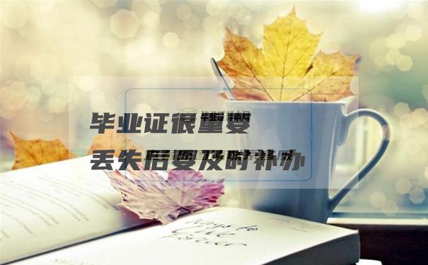 大学毕业证丢失怎么补？