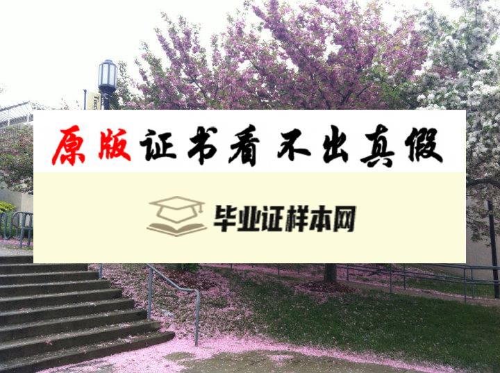 ​美国塔夫茨大学毕业证书模板