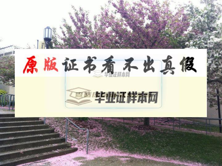 ?美國塔夫茨大學畢業證書模板