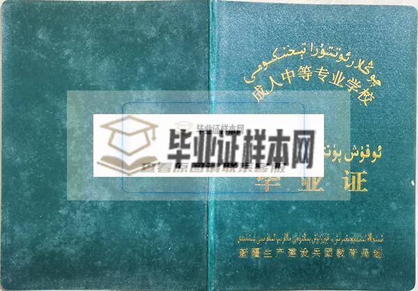 新疆成人中等专业学校毕业证封面