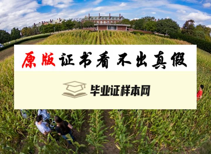 美国伊利诺斯大学香槟分校毕业证书模板