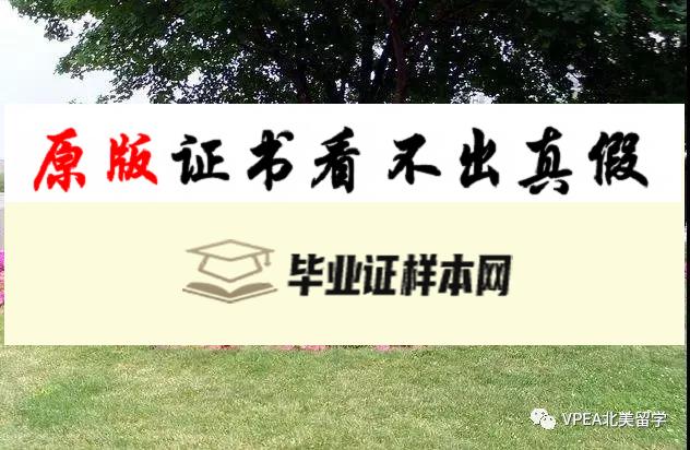 加拿大麦克马斯特大学毕业证书模板