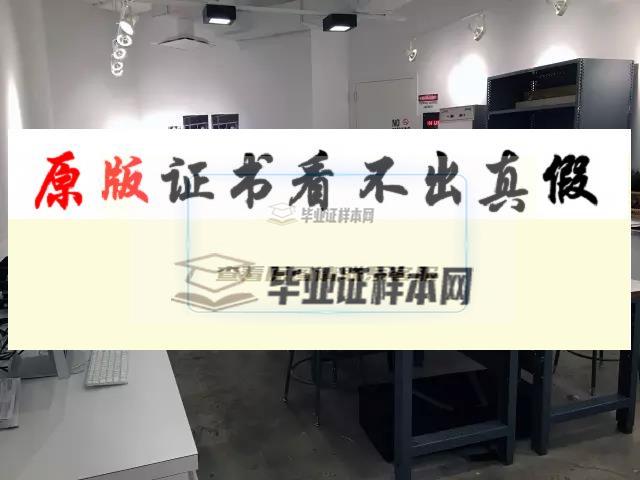 美國紐約市立大學亨特學院畢業證書模板 CUNY-Hunter  college