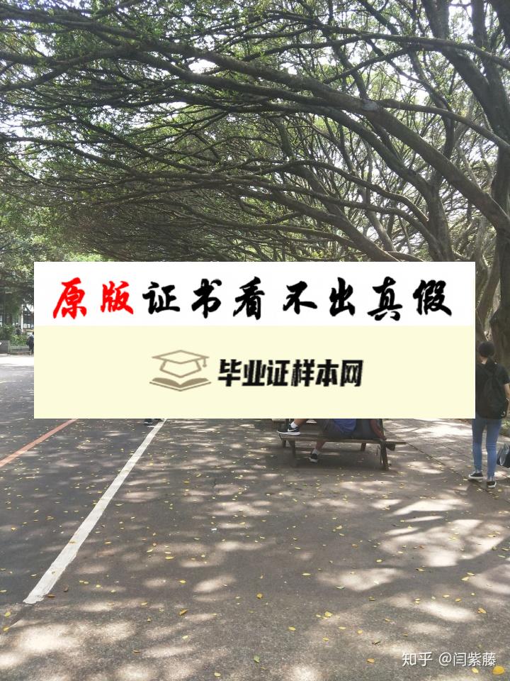 台湾中原大学成绩单模板