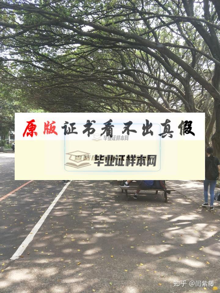 臺灣中原大學成績單模板
