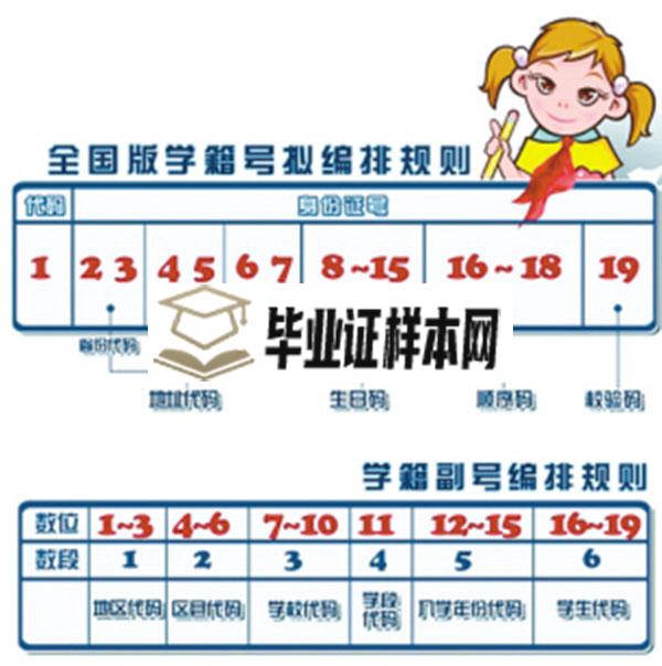 高中毕业证学号编排规则