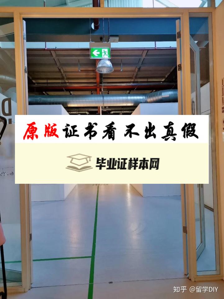 荷兰屯特大学毕业证书模板