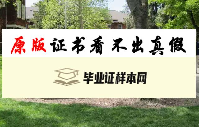 加州大学里弗赛德分校毕业证书模板