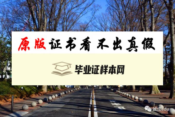 日本成蹊大学毕业证书模板