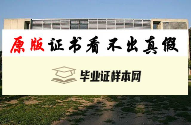 美国德累斯顿工业大学毕业证书模板