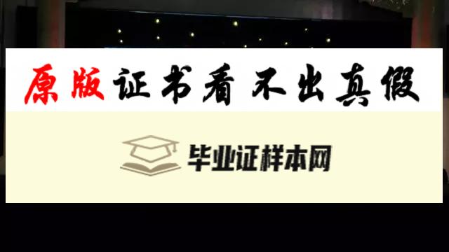 韩国中央大学成绩单样本