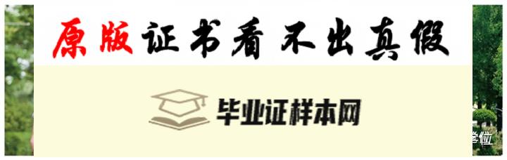 ​韩国全南大学毕业证书模板