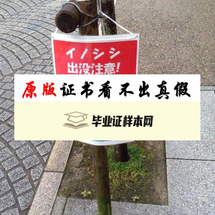 日本大阪大学毕业证书模板