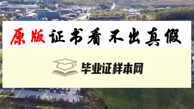 美国康涅狄格大学毕业证书模板