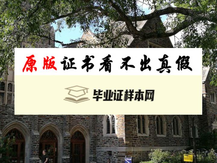 美国杜克大学成绩单样本