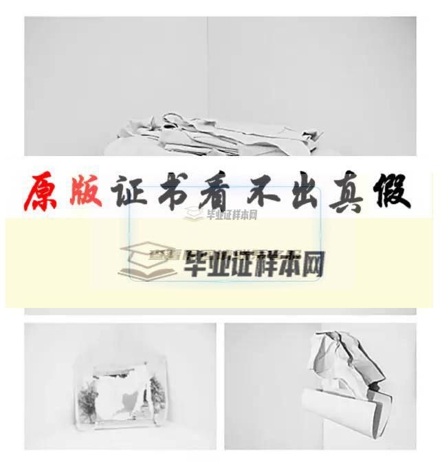 美國紐約市立大學亨特學院畢業證書模板 CUNY-Hunter  college