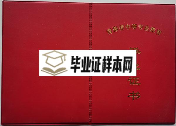 青海省2004年中专毕业证封皮