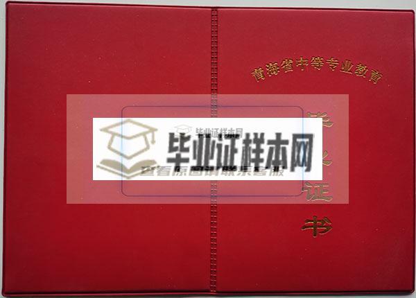 青海省2004年中专毕业证封皮