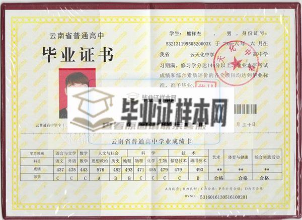 云南省高中毕业证图片