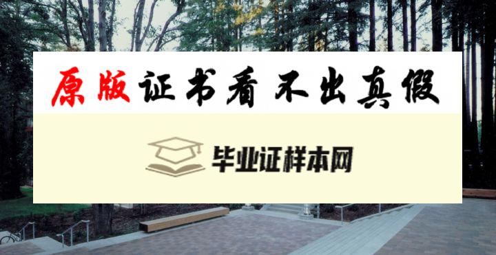 美国​加州大学洛杉矶分校毕业证书模板