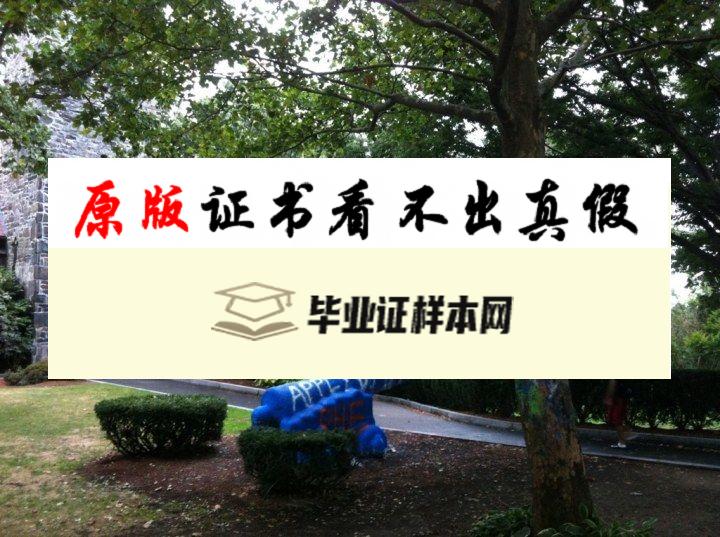 ​美国塔夫茨大学毕业证书模板