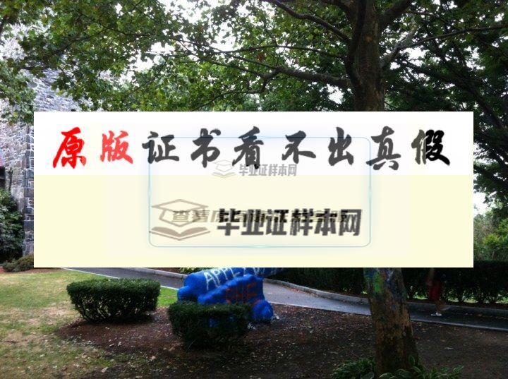 ?美國塔夫茨大學畢業證書模板