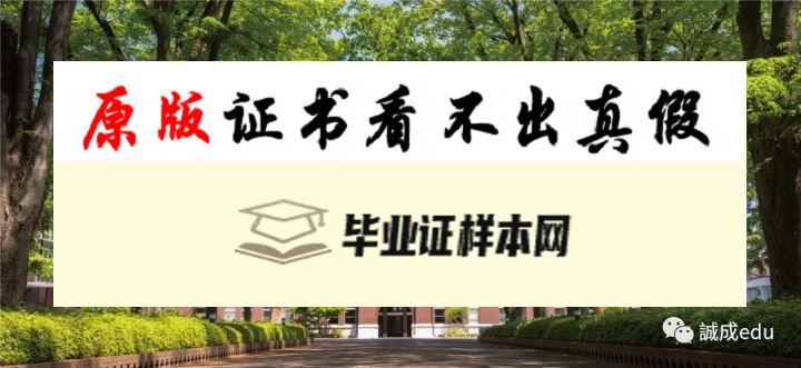 日本成蹊大学毕业证书模板