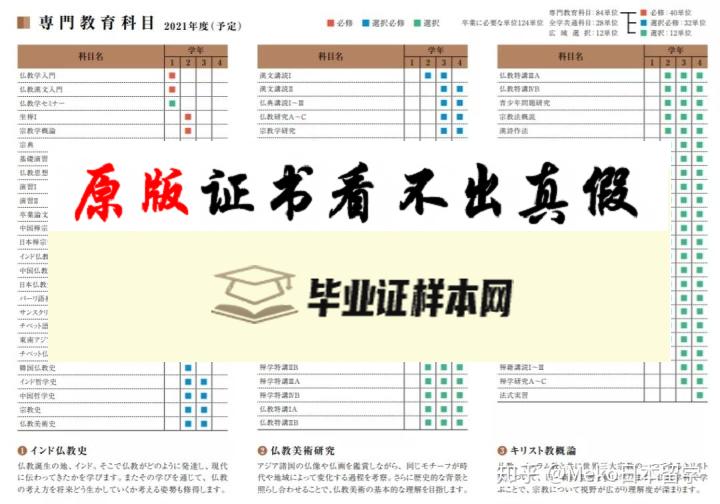 日本驹泽大学毕业证书样本