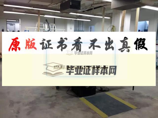 美國紐約市立大學亨特學院畢業證書模板 CUNY-Hunter  college
