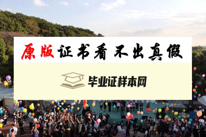 ​日本中央大学毕业证书模板