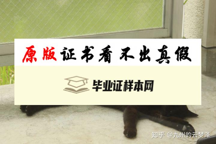 日本早稲田大学毕业证书模板