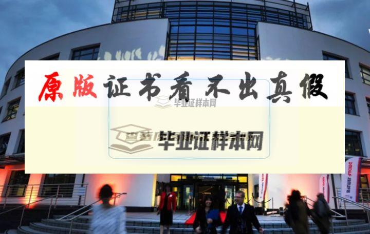 加拿大布魯克大學畢業證書模板