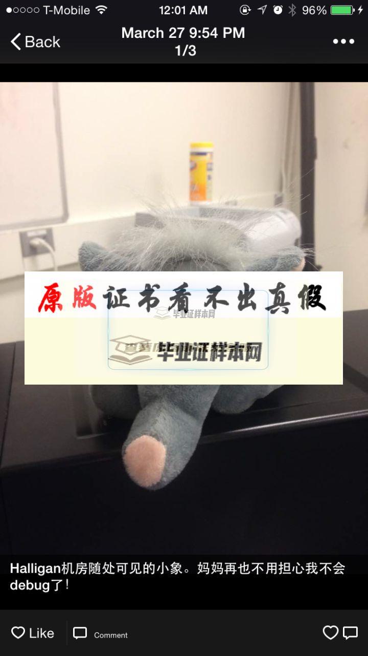 ?美國塔夫茨大學畢業證書模板