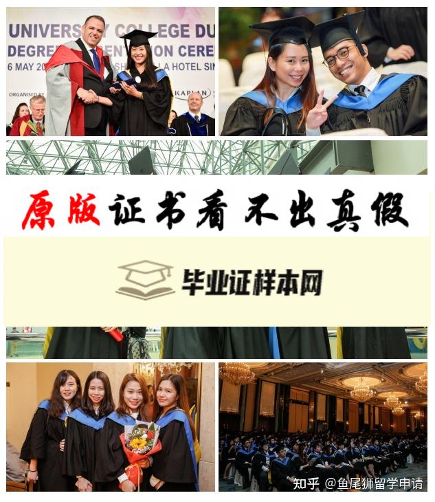 澳大利亚爱尔兰国立都柏林大学毕业证书样本  University College Dublin