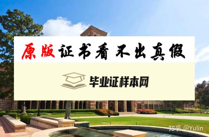 美国新墨西哥大学毕业证书模板  University of New Mexico