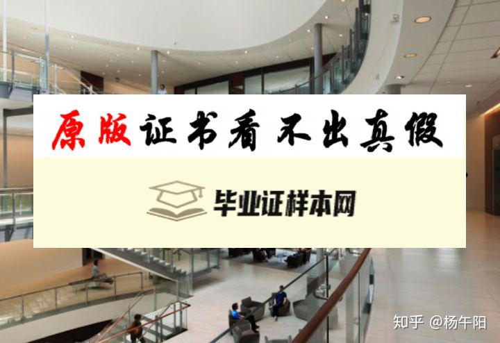 美国约翰霍普金斯大学毕业证书样本