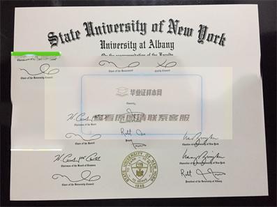 美国纽约州立大学奥尔巴尼分校毕业证书样本