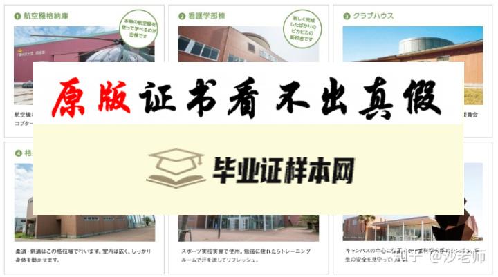 日本千叶科学大学毕业证书模板 ちばだいがく Chiba University