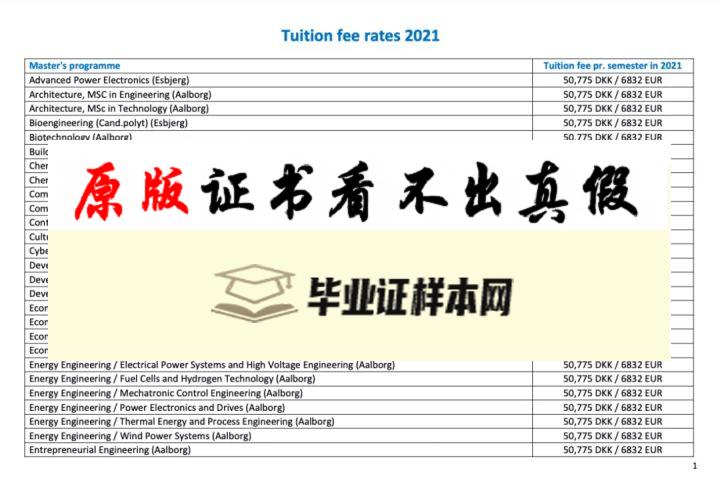 丹麦奥尔堡大学毕业证书模板