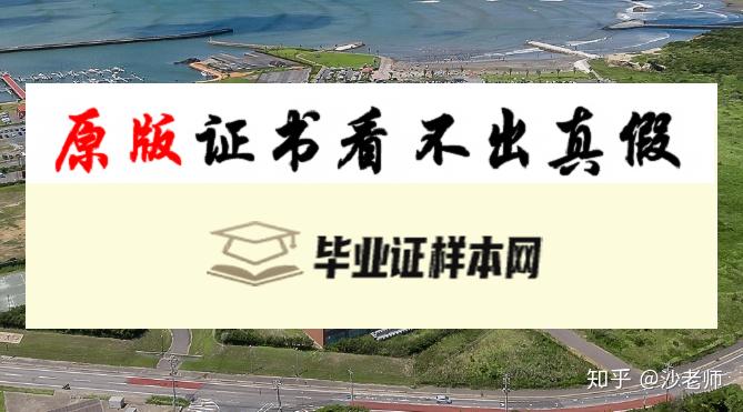 日本千叶科学大学毕业证书模板 ちばだいがく Chiba University