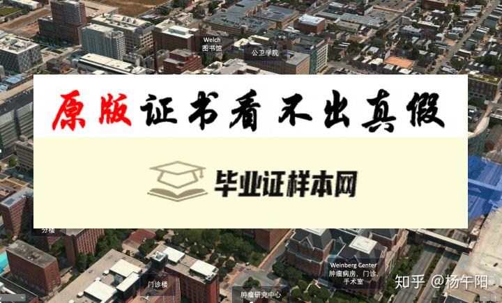 美国约翰霍普金斯大学毕业证书样本