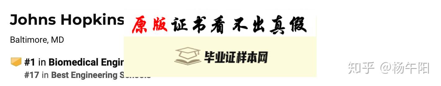 美国约翰霍普金斯大学毕业证书样本