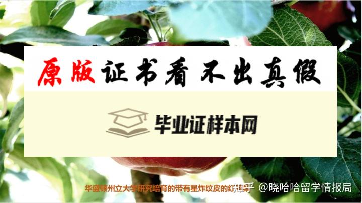 美国华盛顿州立大学毕业证书样本