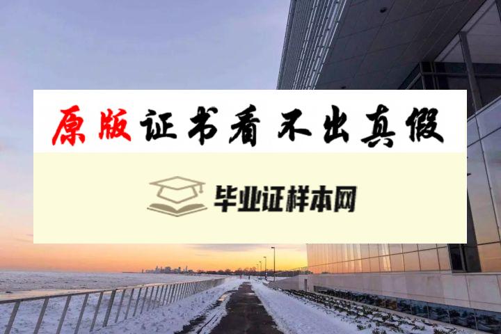 美国西北大学凯洛格商学院毕业证书样本