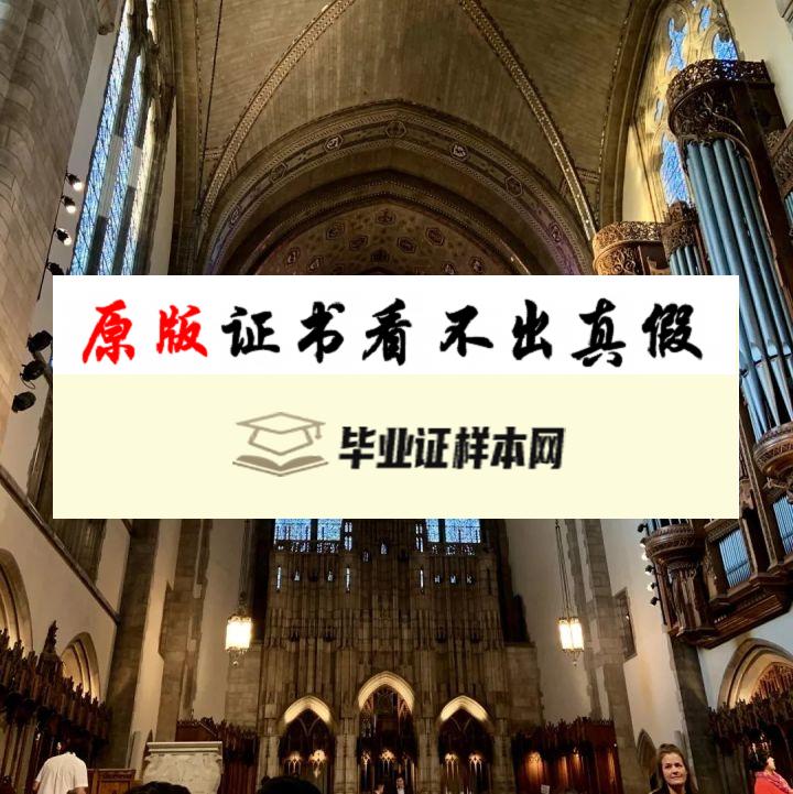 美国芝加哥大学毕业证书样本  The University of Chicago