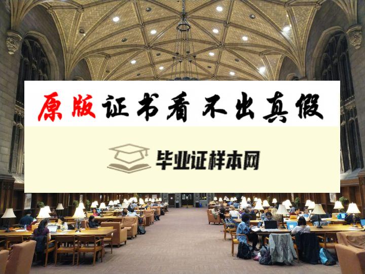 美国芝加哥大学毕业证书样本  University of Chicago